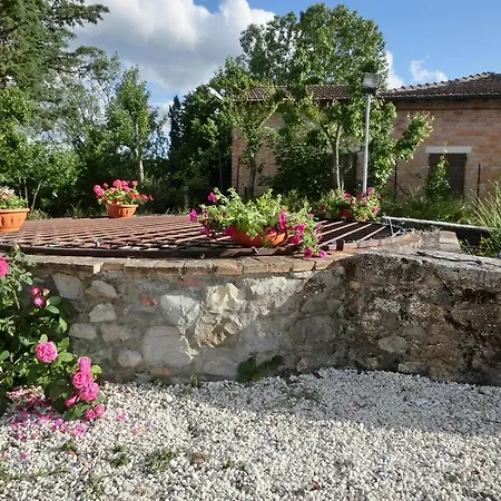 La Fattoria Bellandi Contignano