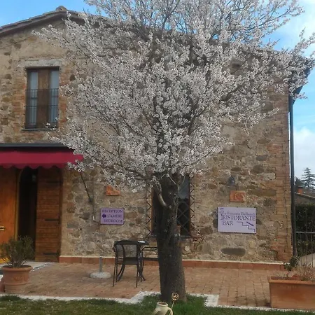 La Fattoria Bellandi Contignano